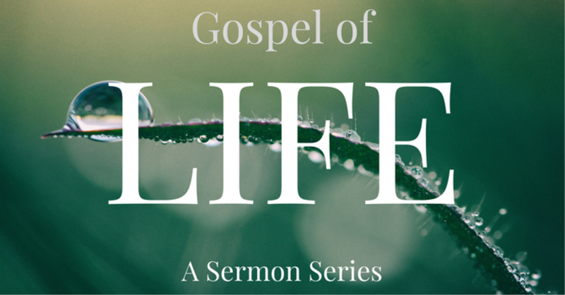 Gospel of Life Session #6